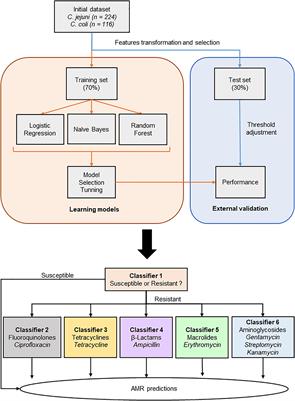 Combination of MALDI-TOF Mass Spectrometry and Machine Learning for Rapid Antimicrobial Resistance Screening: The Case of Campylobacter spp.